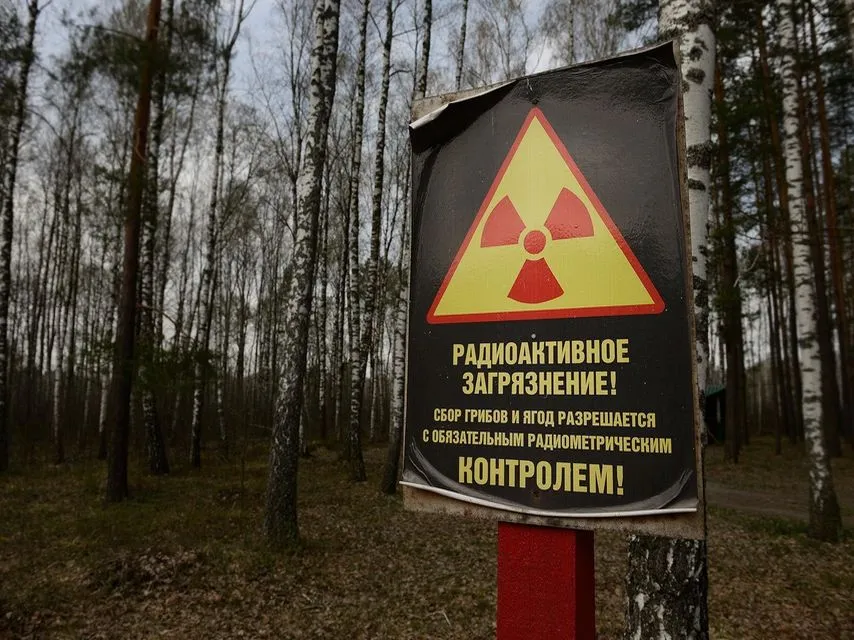 По результатам радиационного контроля 30% проб грибов в области оказались грязными, а в Наровлянском районе — 96% проб